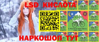 эйфоретик Краснознаменск