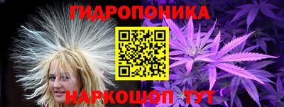крисы Краснокаменск