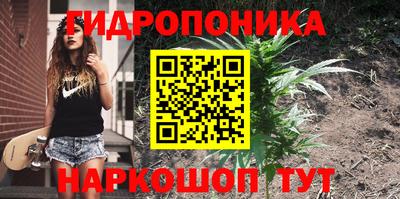 крисы Краснокаменск