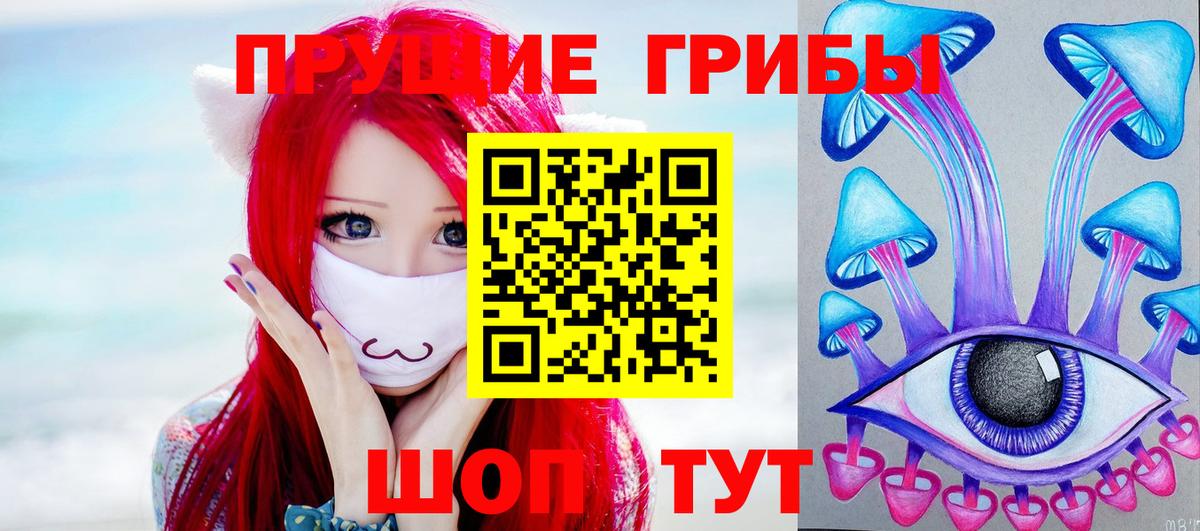Кемерово  Галлюциногенные грибы Psilocybe  Псилоцибиновые грибы GOLDEN TEACHER  где купить наркоту  Вход с VPN 